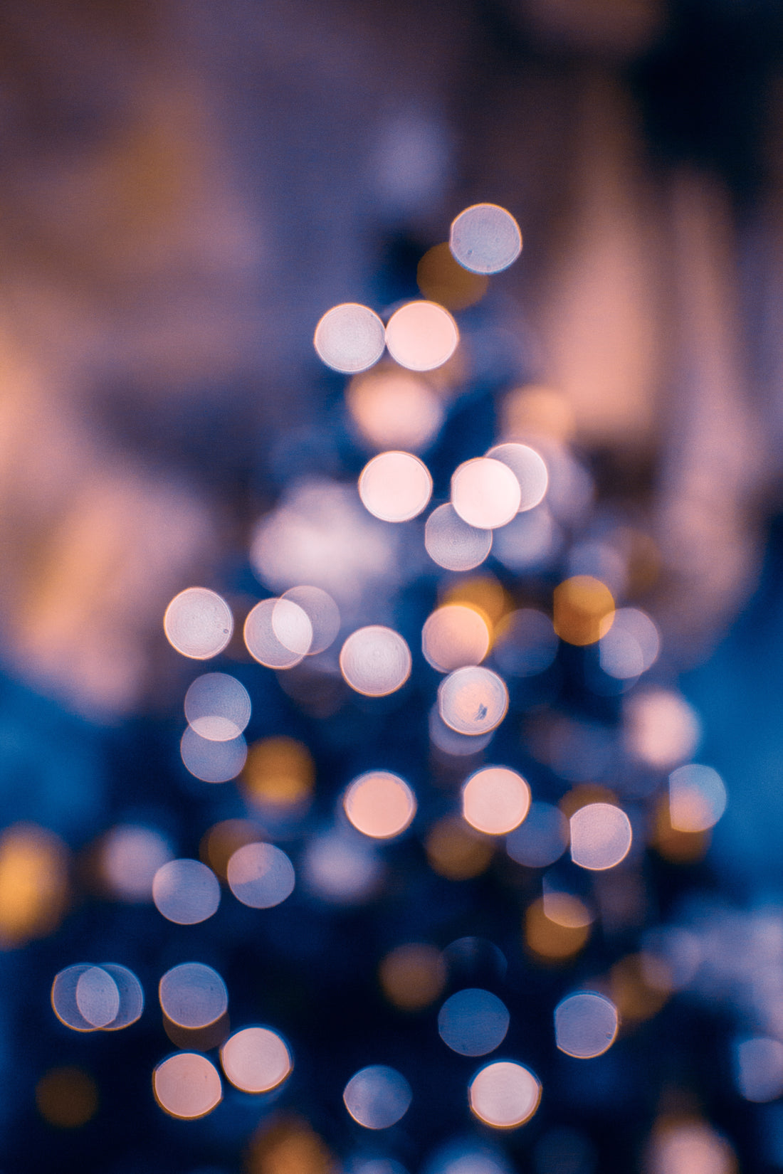 Circly Weihnachten Blogartikel nachhaltige Geschenke